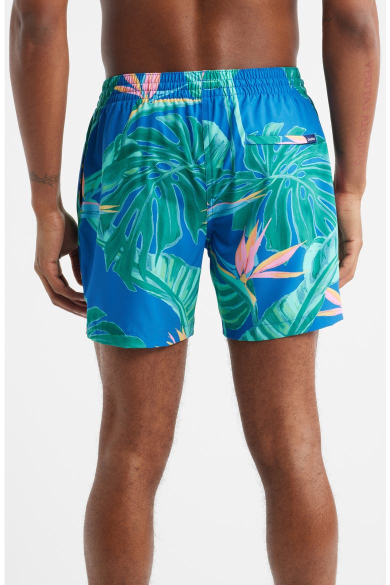 The Blue Birds of Paradise 5.5-Inch Swim Trunks, Alternate, color, MEDIUM BLUE