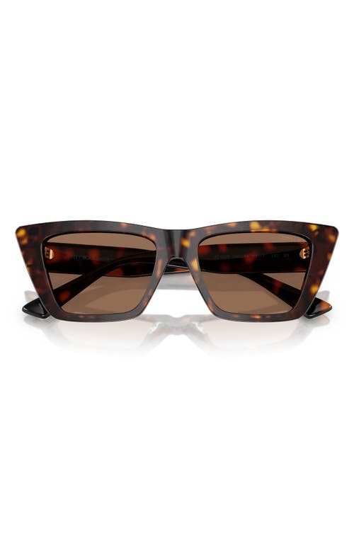 Jimmy Choo 53mm Cat Eye Sunglasses In Havana