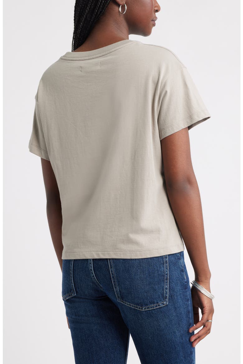 Favorite Cotton T-Shirt, Alternate, color, GREY TAUPE