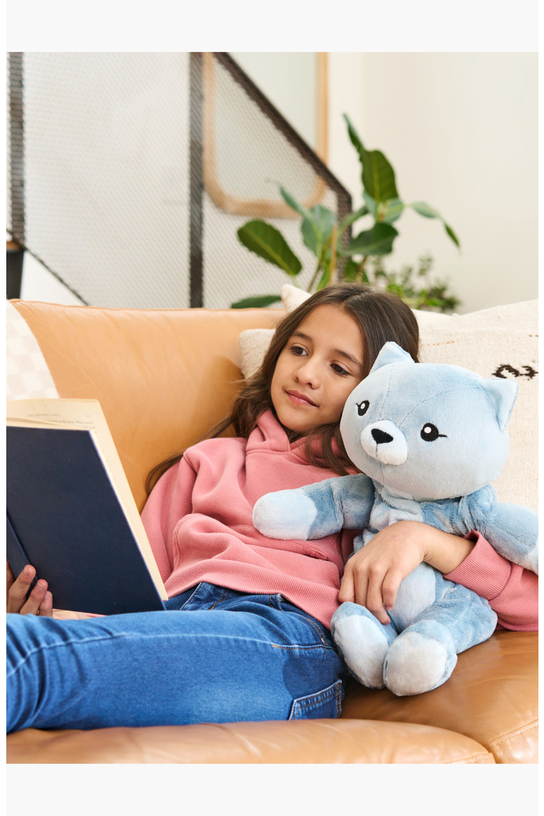 Frankie the Cat Plush Toy, Alternate, color, Blue