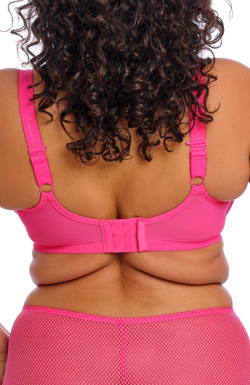 Elomi Charley Full Figure Underwire Plunge Bra In Pink