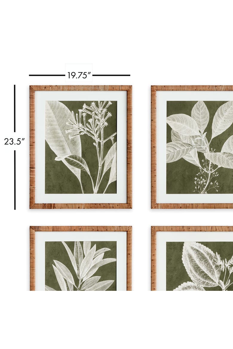 Translucent Stem Prints Set of 4, Alternate, color, Green