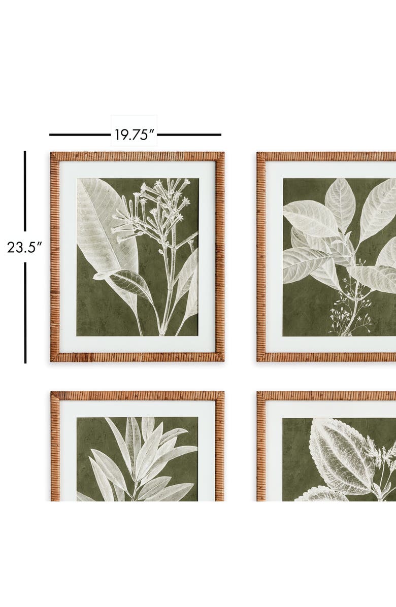 Napa Home & Garden Translucent Stem Prints Set of 4, Alternate, color, Green