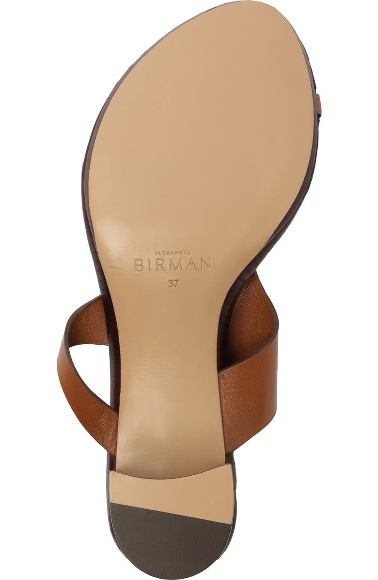 Alexandre Birman Eliah Block Heel Sandal, Alternate, color, Espresso