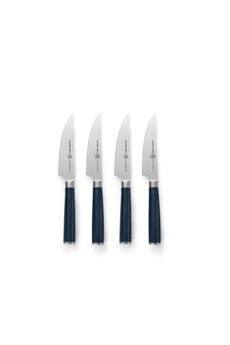 Madison 4-Piece Steak Set, Alternate, color, Blue
