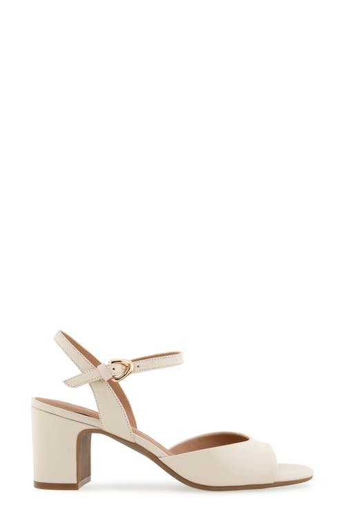 AEROSOLES AEROSOLES GERDA ANKLE STRAP SANDAL 