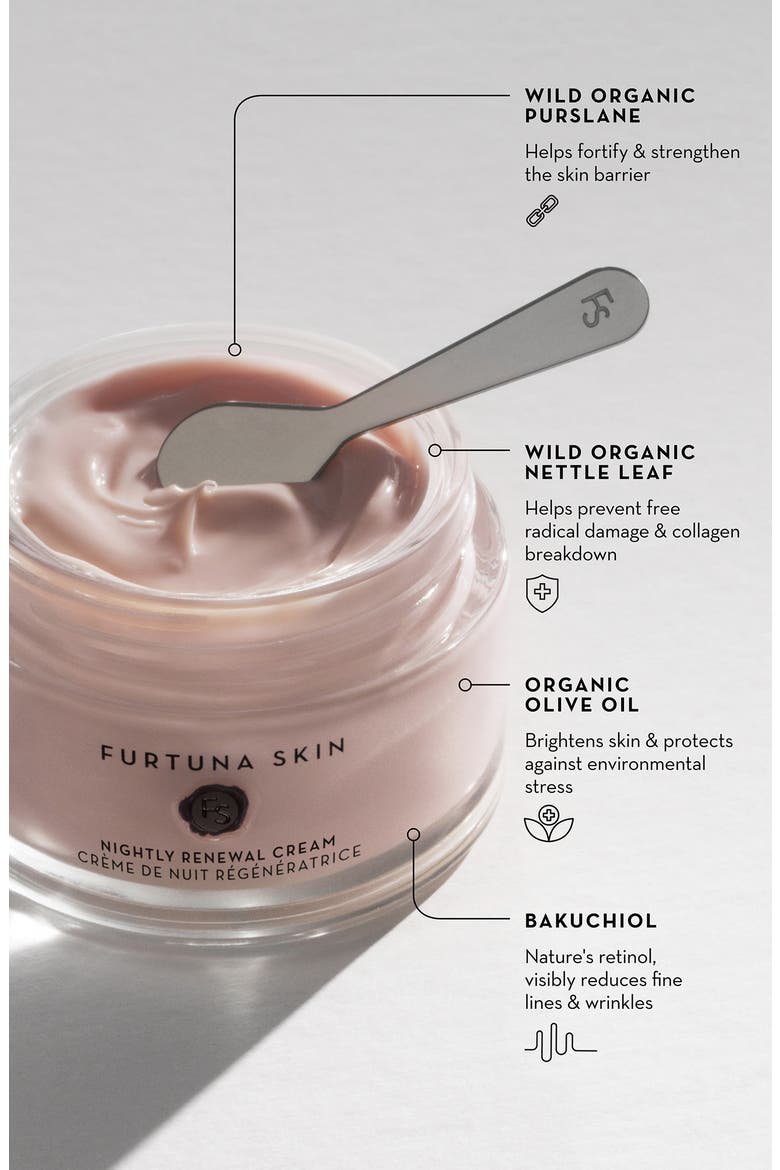 Nightly Renewal Cream, Alternate, color, NO COLOR