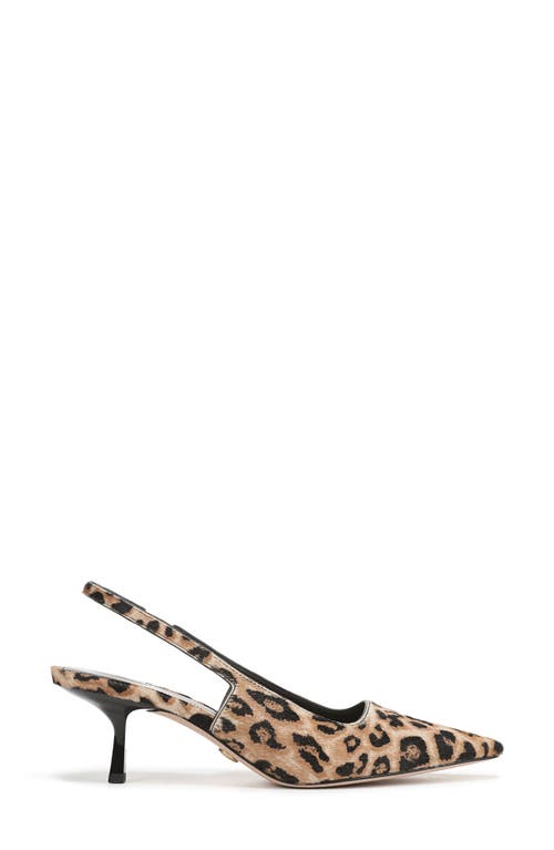 Veronica Beard Cashel Slingback Pointed Toe Pump In Brown