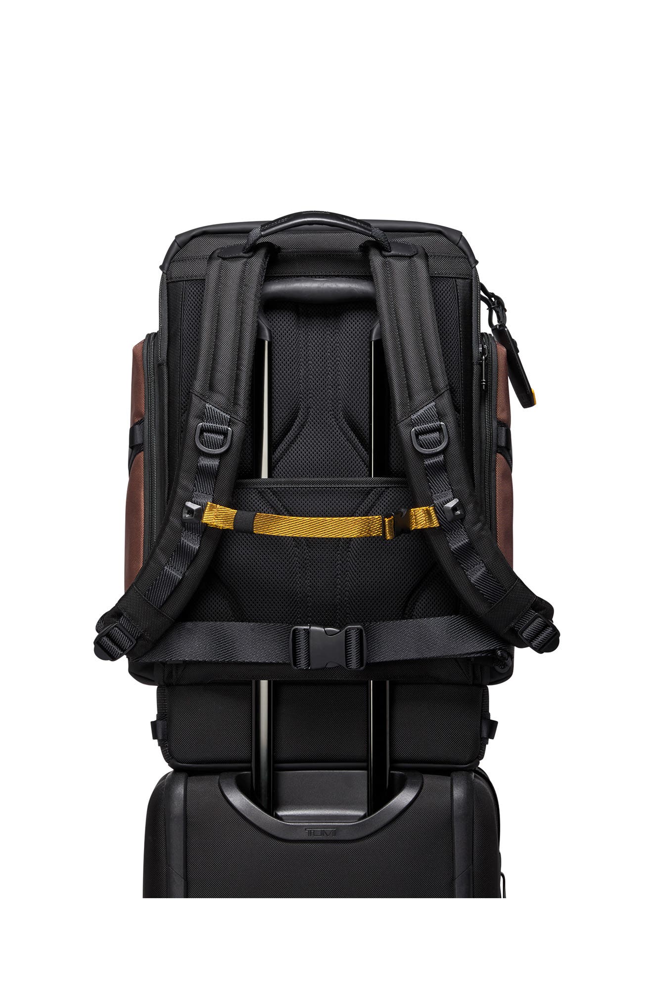 TUMI Alpha Bravo Expedition Flap Backpack, Alternate, color, 