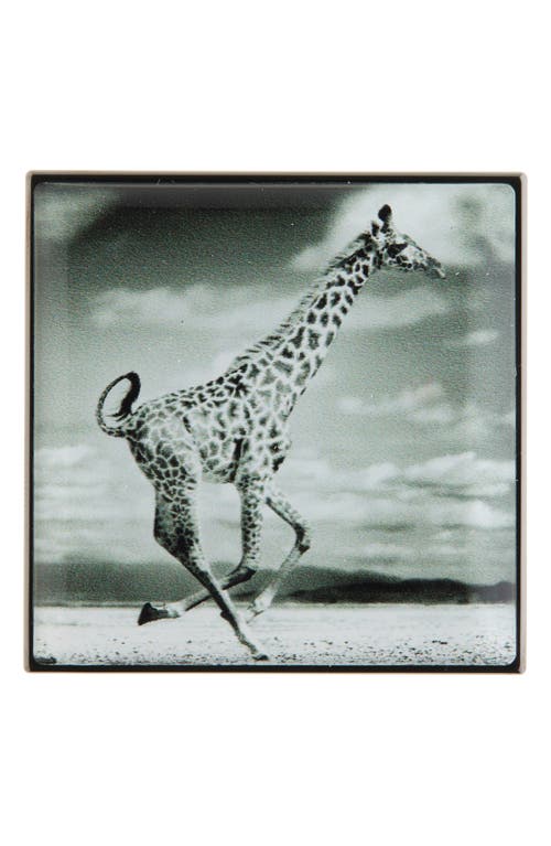 Chantecaille Luminescent Eyeshadow In Giraffe