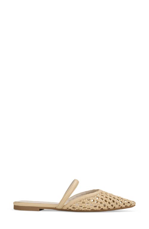 Yosi Samra Justine Pointed Toe Mule In Neutral