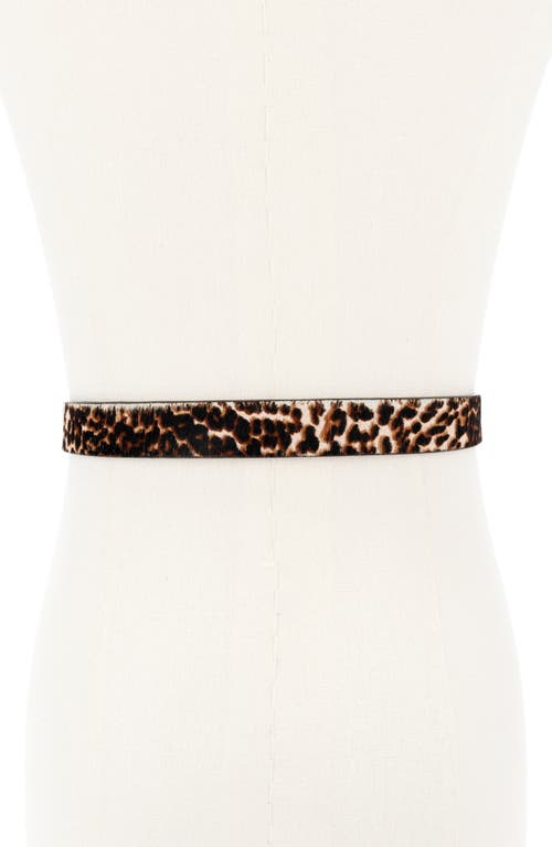 Kate Spade New York Molten Buckle Genuine Calf Hair Belt In Brown