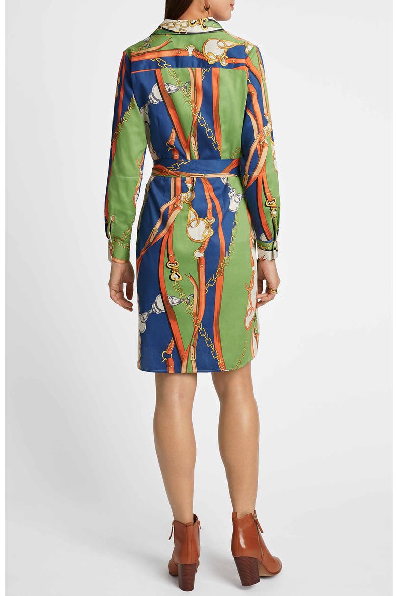 Rocca Chain Print Belted Long Sleeve Shirtdress, Alternate, color, GREEN MULTI