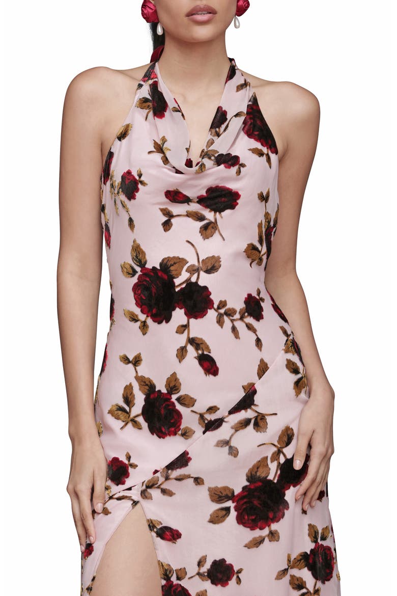 Floral Devoré Halter Maxi Cocktail Dress, Alternate, color, ROSE BURNOUT