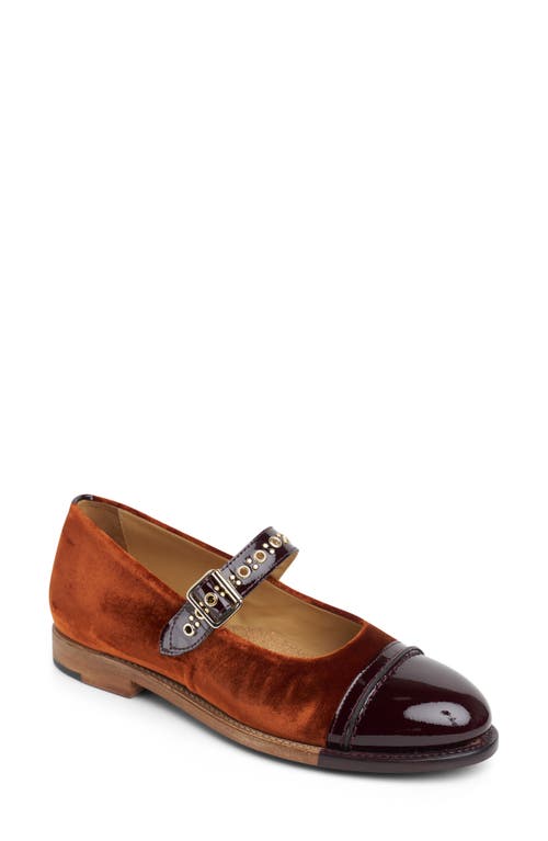 The Office Of Angela Scott Miss Alexa Cap Toe Mary Jane In Brown