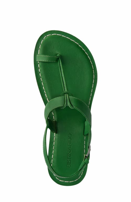 BERNARDO FOOTWEAR BERNARDO FOOTWEAR MAVERICK 2 TOE RING SANDAL