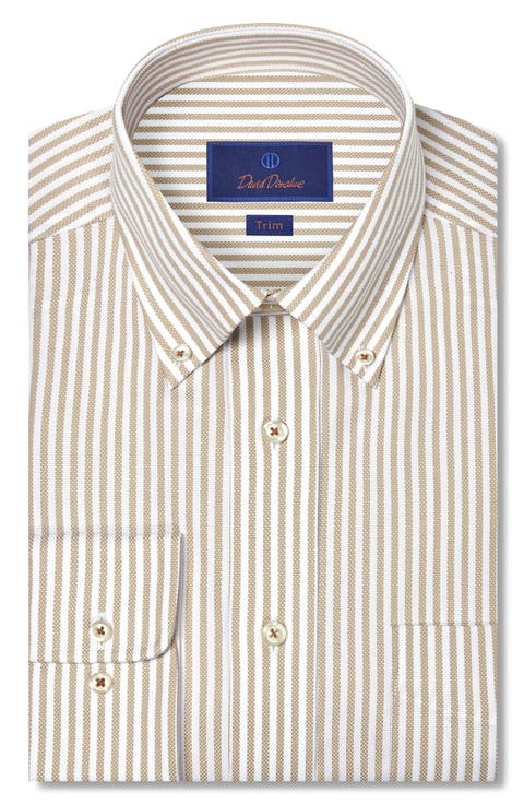 Trim Fit Stripe Royal Oxford Dress Shirt