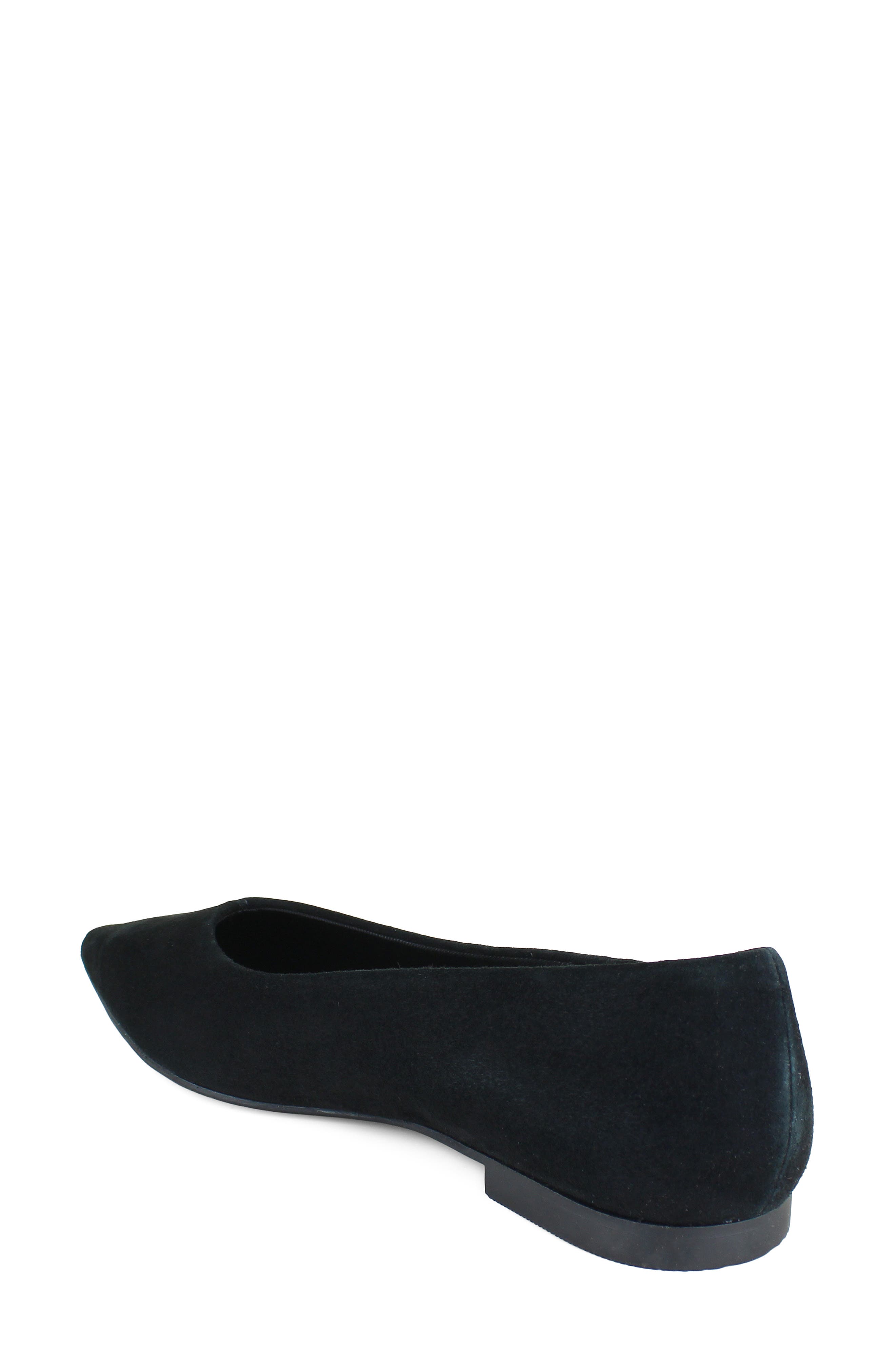 Nala Pointed Toe Flat, Alternate, color, BLACK SUEDE