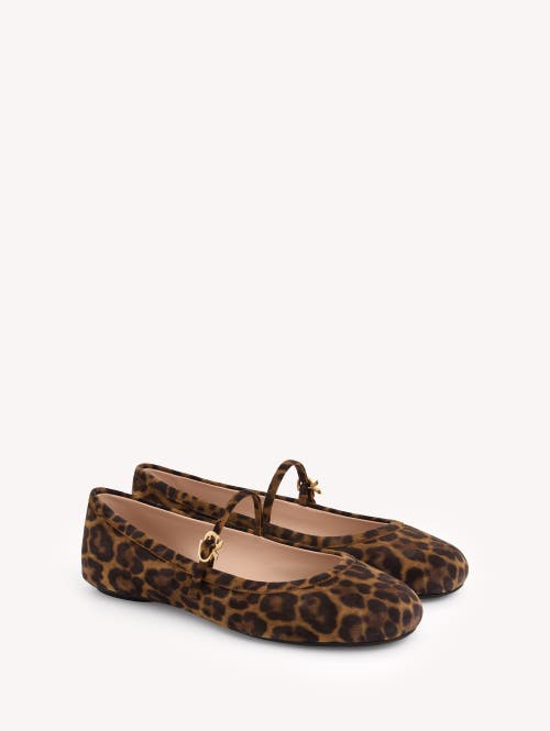 Gianvito Rossi Carla Leopard Print Ballet Flats In Leopard Brown