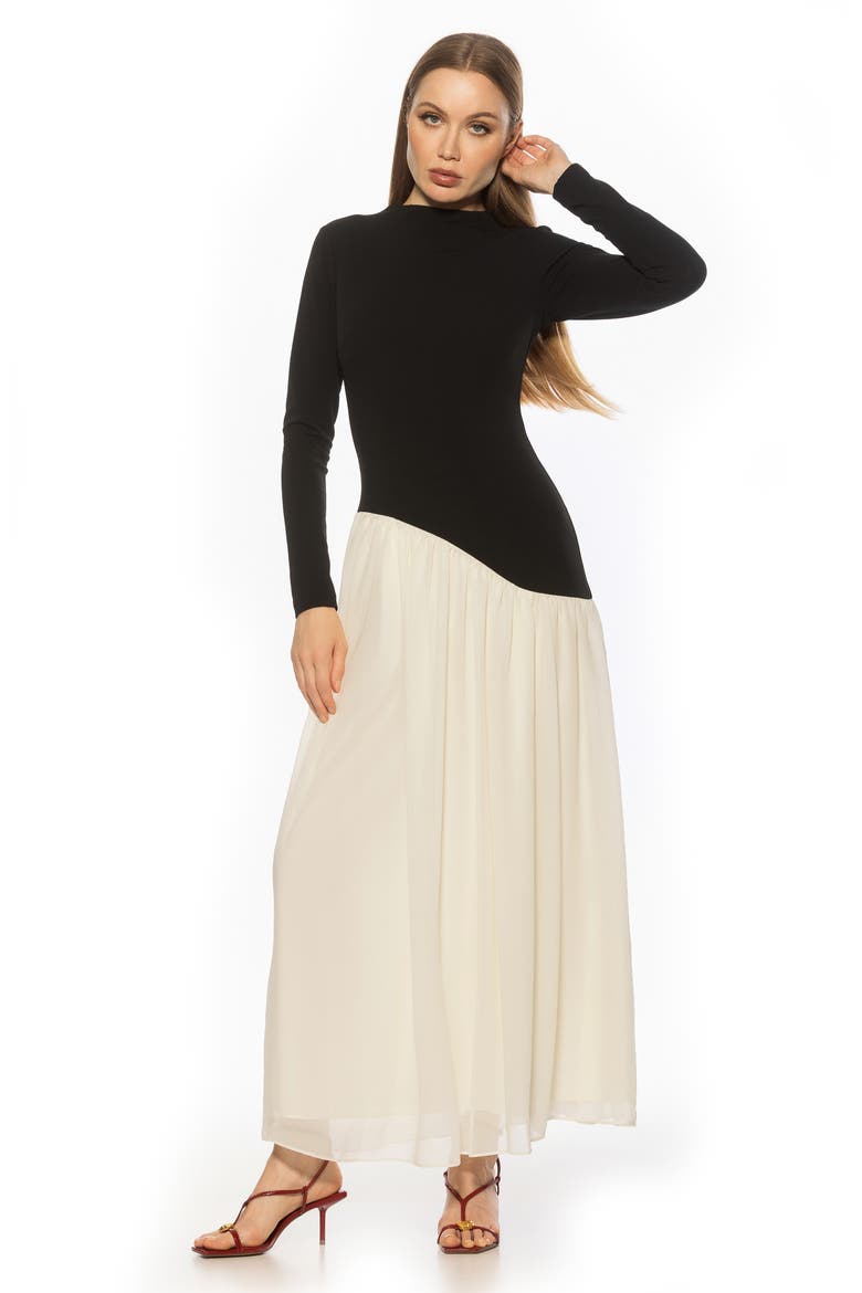 Dakota Long Sleeve Gown, Alternate, color, BLACK/ OFF WHITE