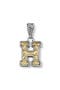  Silver/Gold H