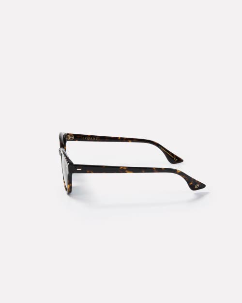 Epokhe Coil Sunglasses In Brown