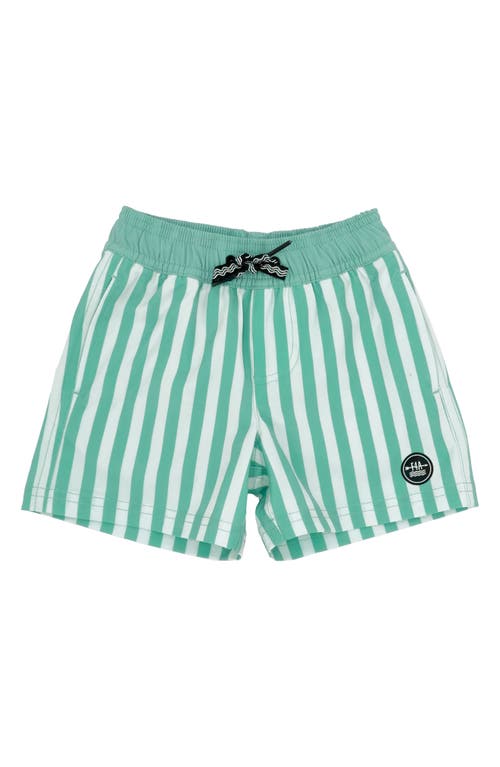 FEATHER 4 ARROW FEATHER 4 ARROW SUN CLUB VOLLEY SWIM TRUNKS