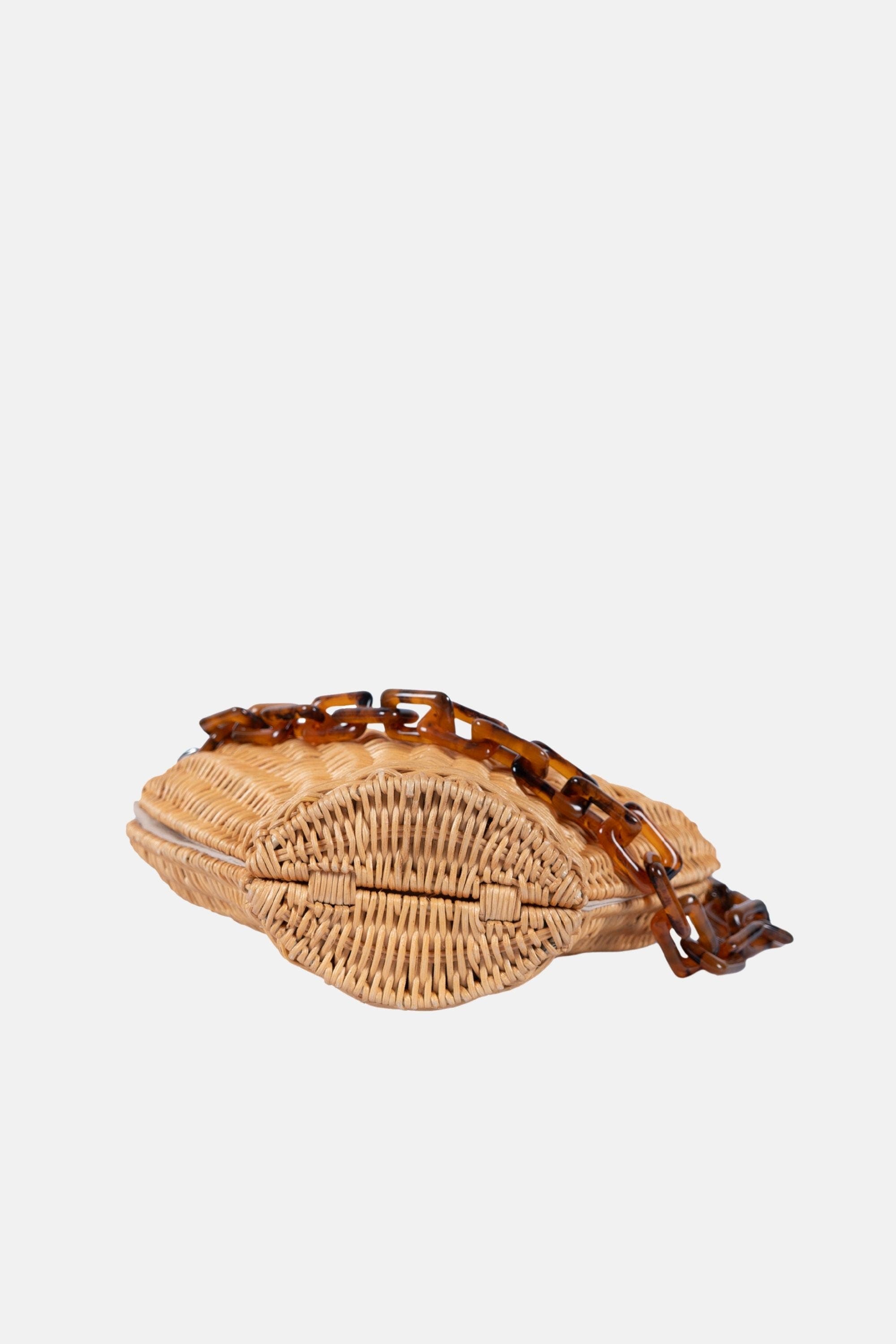 Jelavu Shelly Tortoise Crossbody Bag, Alternate, color, Natural