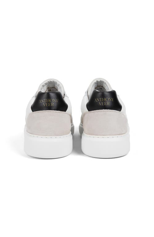 Anthony Veer Acton Court Sneaker In Multi