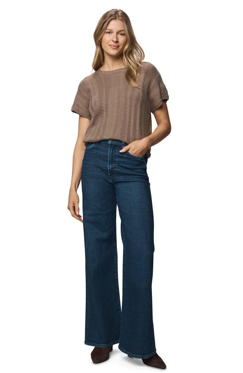 Splendid Raelynn Short Sleeve Pointelle Sweater, Alternate, color, Cedar Brown