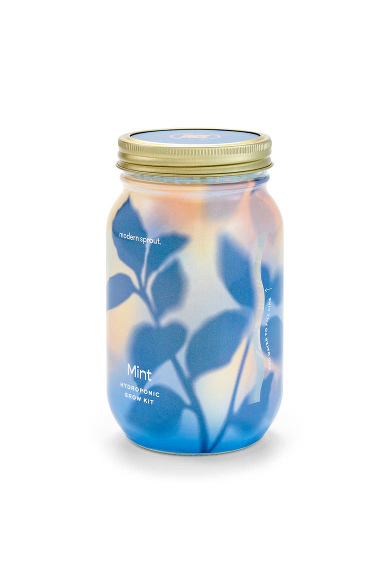 Garden Jar, Main, color, Mint