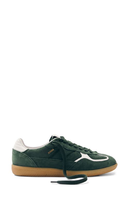 Alohas Tb.490 Suede Low-top Sneakers In Green