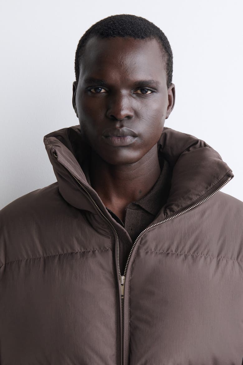Mock-neck Nylon Down Puffer Jacket, Alternate, color, GRAY-BROWN