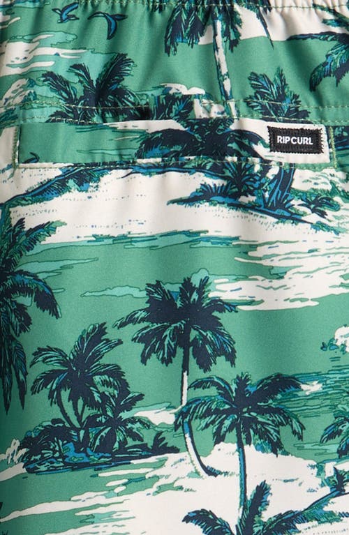 Rip Curl Kids' Dreamers Volley Shorts In Green