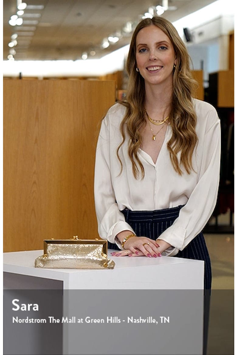 Zara Mesh Frame Clutch video