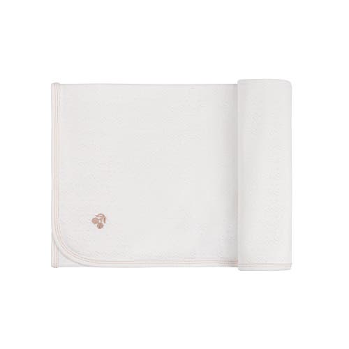 Ely's & Co. Squiggle Pointelle Collection In Girls Cream
