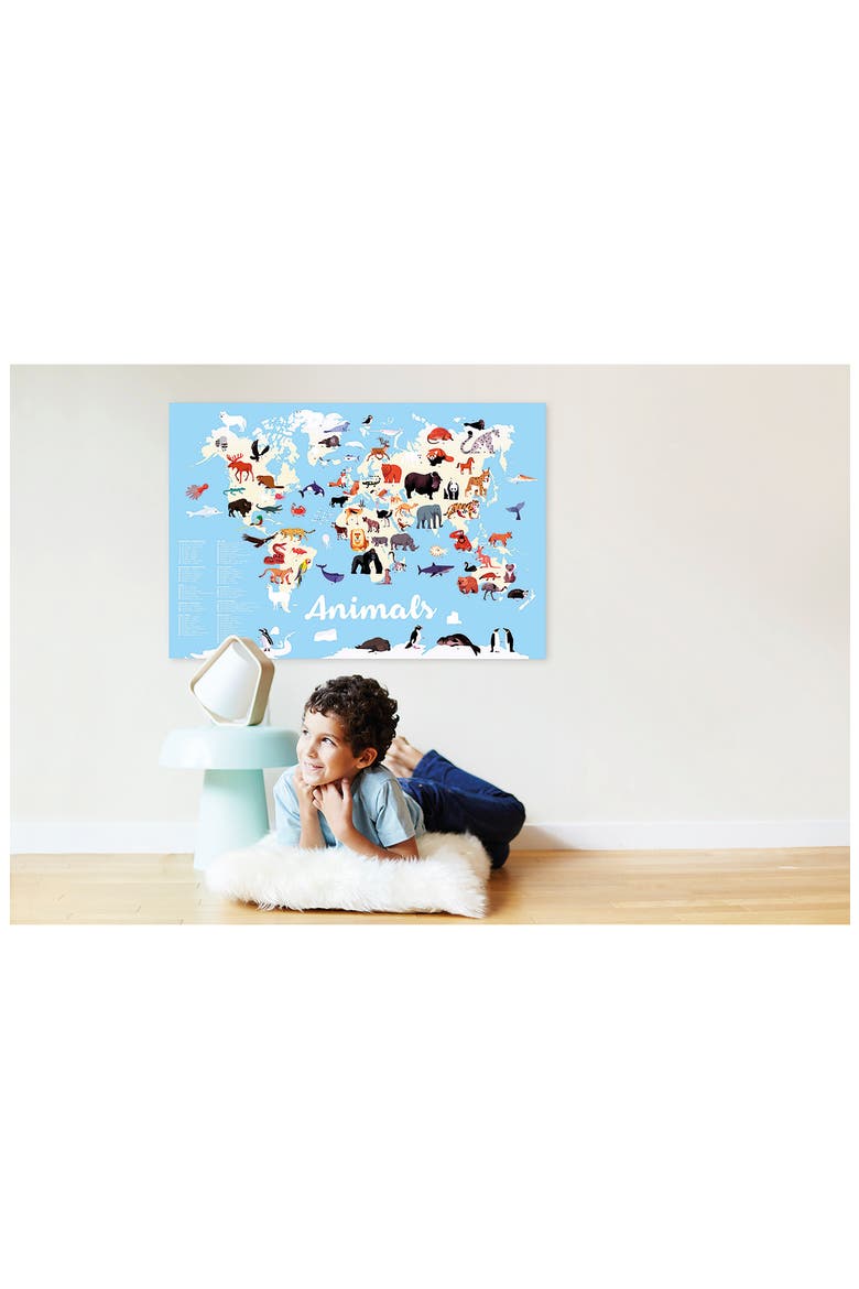 Animals Discovery Poster, Alternate, color, MULTI