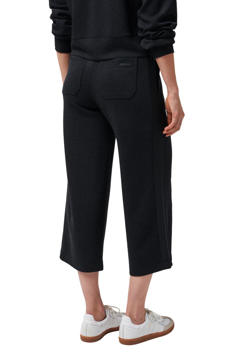 Delightful Wide Leg Crop Pants, Alternate, color, HEATHER BLACK