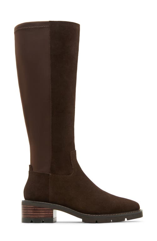 Blondo Harriet Waterproof Knee High Boot In Brown