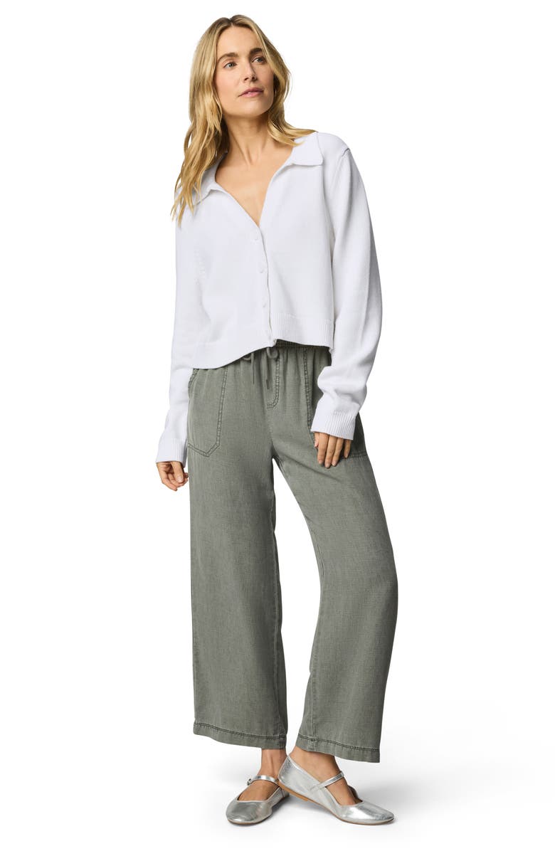 Splendid Nicolette Cotton Johnny Collar Cardigan, Alternate, color,