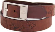 EAGLES WINGS Arkansas Razorbacks Brandish Leather Belt - Brown