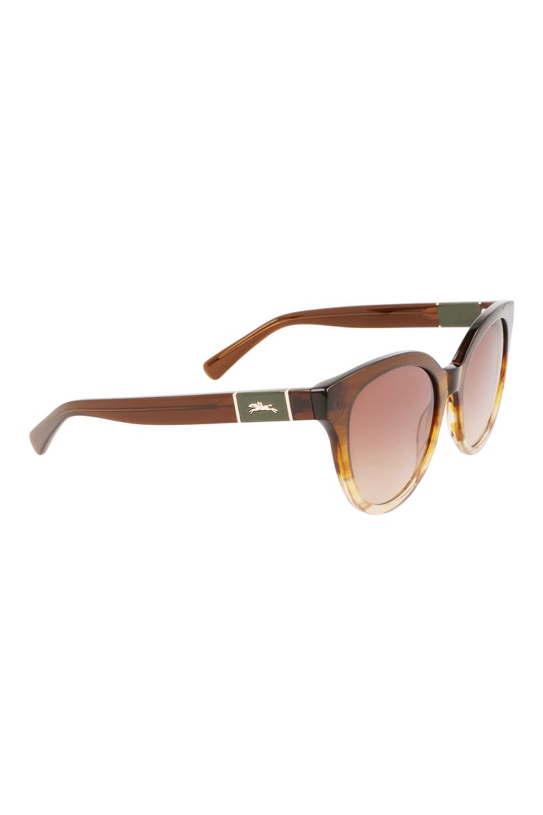 Le Pliage 53mm Oval Sunglasses, Alternate, color, STRIPED HONEY