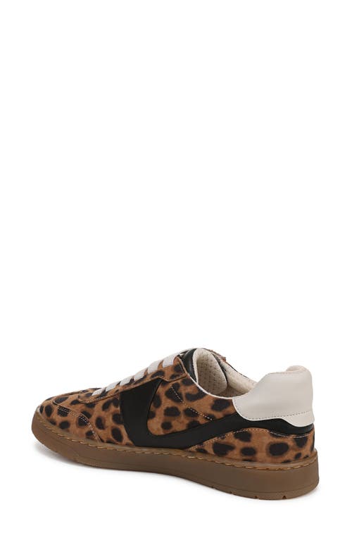 Franco Sarto Ponti Sneaker In Brown