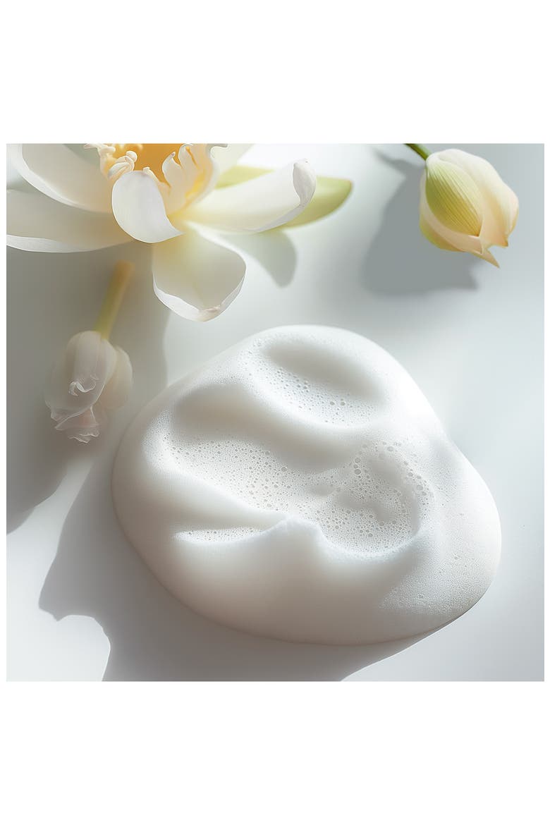 Mousse au Lotus Volumatrice Alcohol-Free Volumizing Styling Mousse, Alternate, color, NO COLOR