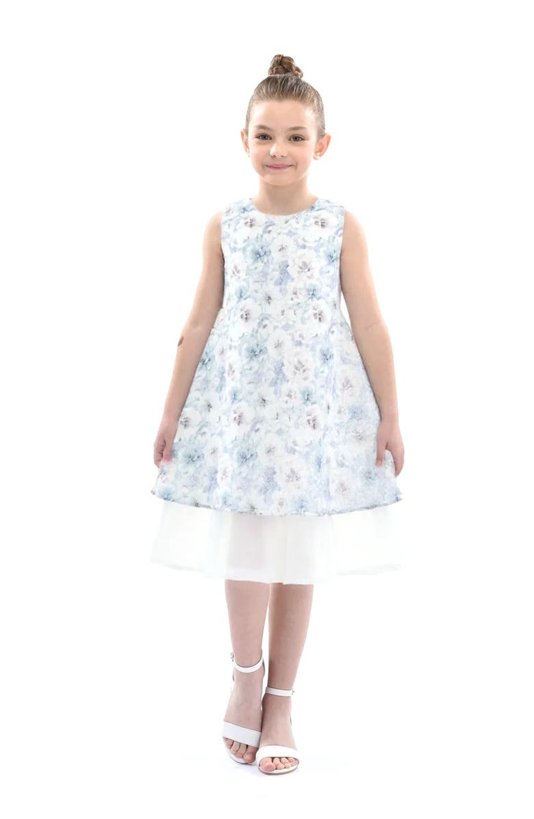 Tulleen Floral Sleeveless Layered Dress, Main, color, Blue