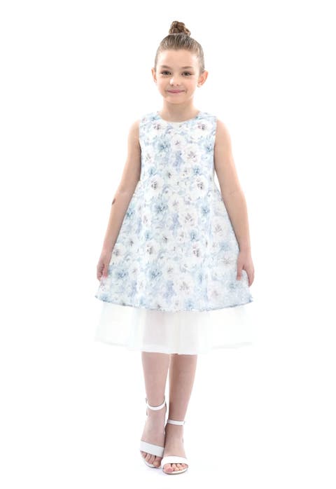 Floral Sleeveless Layered Dress (Toddler, Little Kid & Big Kid)
