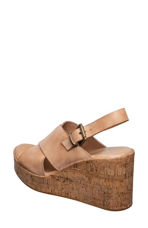 Antelope Aly Wedge Platform Sandal In Brown