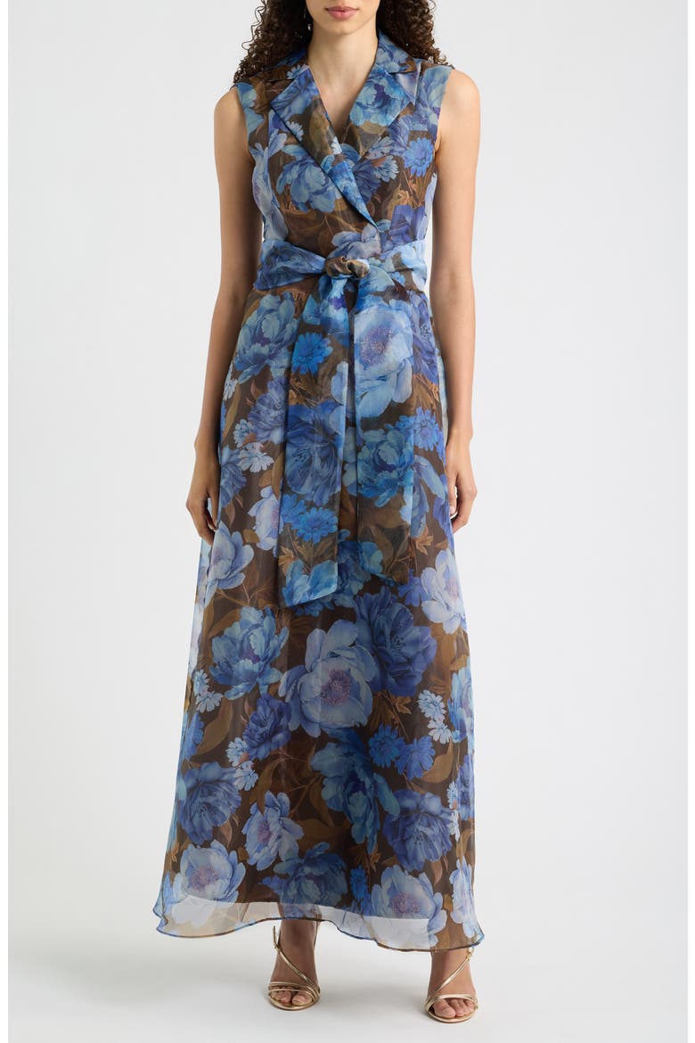 Tie Waist Maxi Dress, Main, color, BROWN BLUE