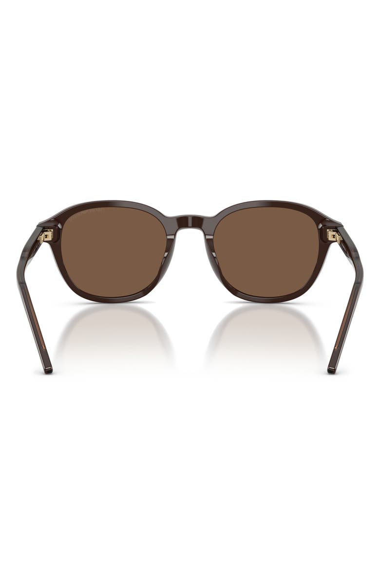 Emporio Armani 51mm Pillow Sunglasses, Alternate, color, Shiny Brown / Brown