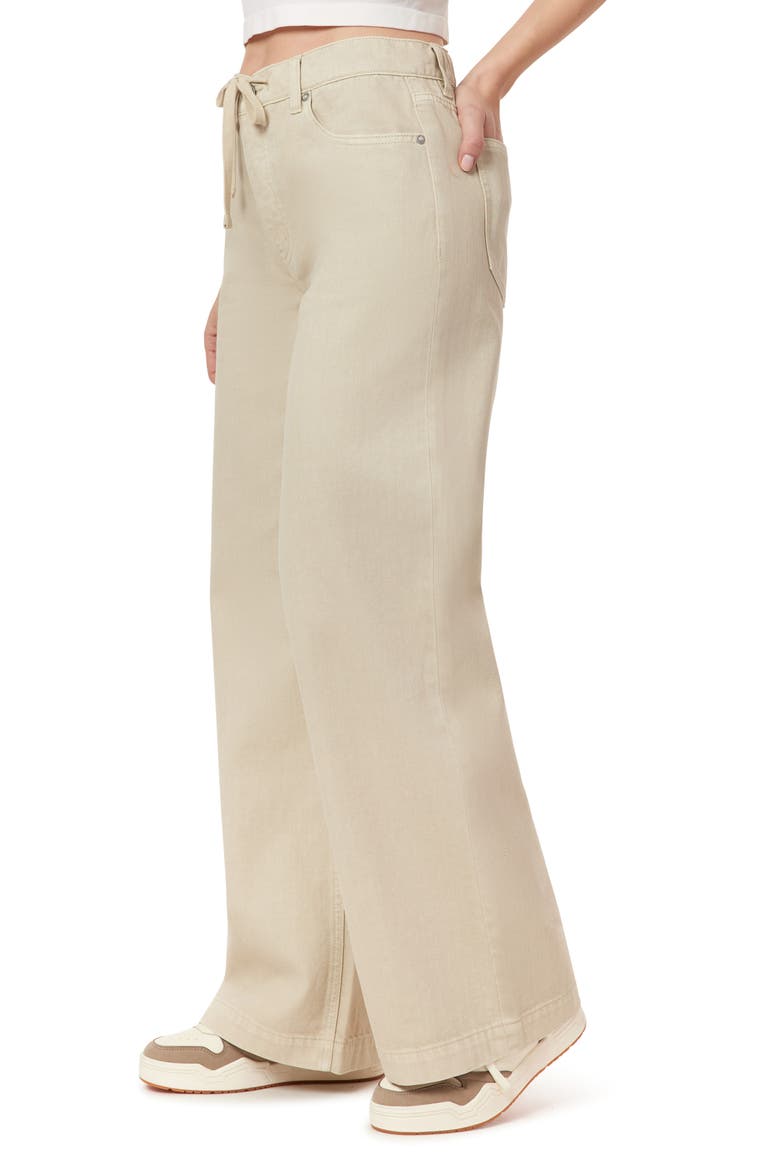 The Baggy Drawstring Pants, Alternate, color, OYSTER GRAY